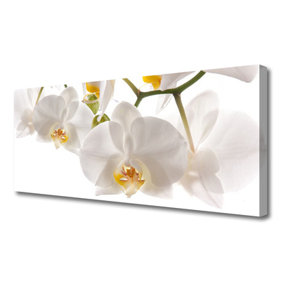 Fototryck canvas Orkidé Blommor Natur