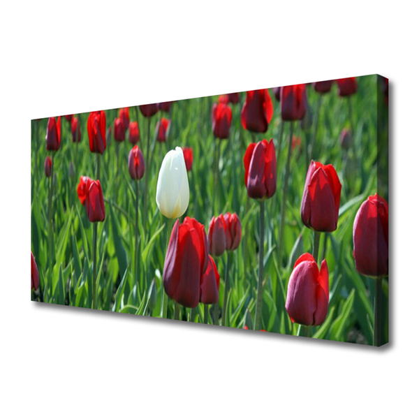 Fototryck canvas Tulpaner Blommor Natur