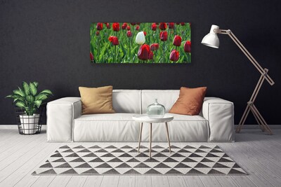 Fototryck canvas Tulpaner Blommor Natur