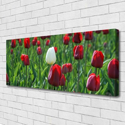 Fototryck canvas Tulpaner Blommor Natur