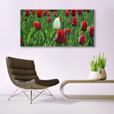 Fototryck canvas Tulpaner Blommor Natur