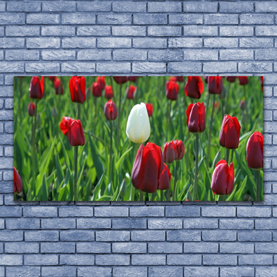 Fototryck canvas Tulpaner Blommor Natur