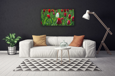 Fototryck canvas Tulpaner Blommor Natur