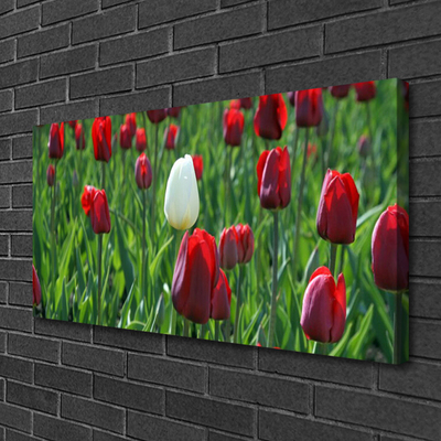 Fototryck canvas Tulpaner Blommor Natur