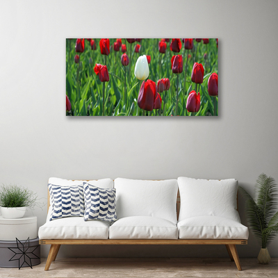 Fototryck canvas Tulpaner Blommor Natur