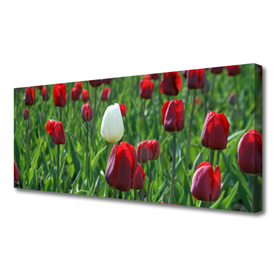 Fototryck canvas Tulpaner Blommor Natur