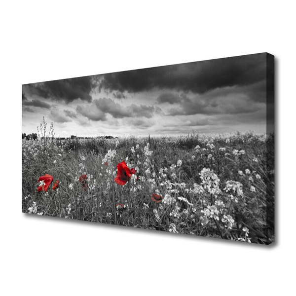 Canvas bild Äng Blommor Landskap