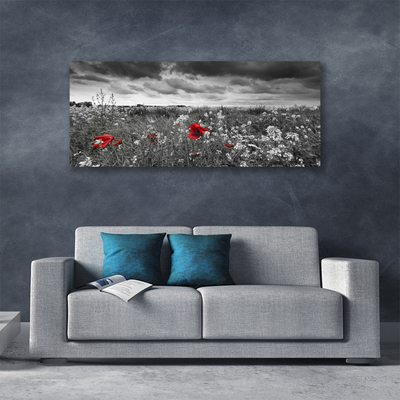 Canvas bild Äng Blommor Landskap