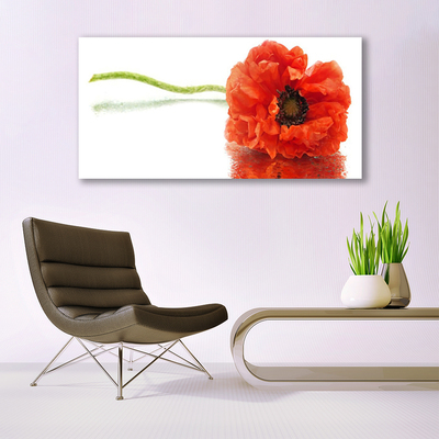 Bild på canvas Blommor Natur Natur