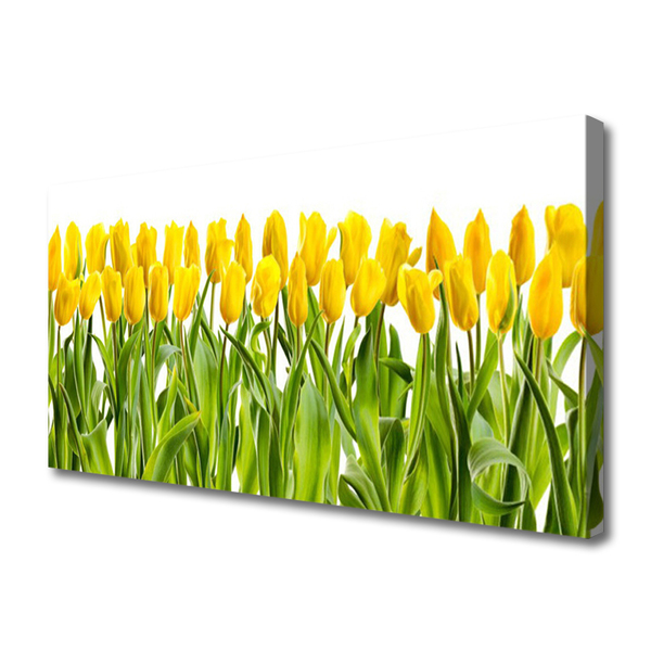 Foto på canvas Tulpaner Blommor Natur