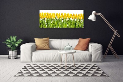 Foto på canvas Tulpaner Blommor Natur