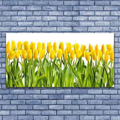 Foto på canvas Tulpaner Blommor Natur