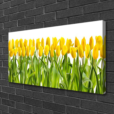 Foto på canvas Tulpaner Blommor Natur