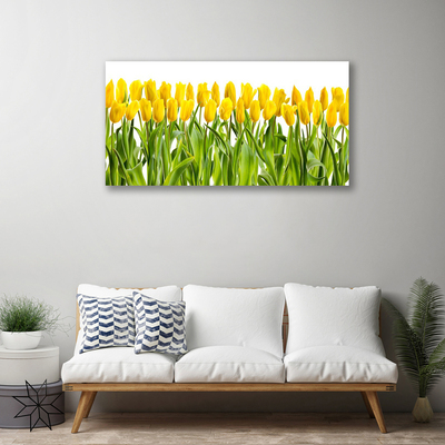 Foto på canvas Tulpaner Blommor Natur