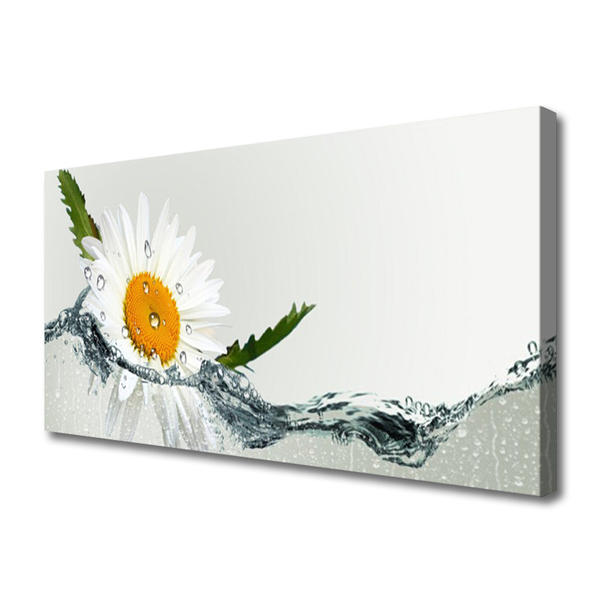 Fototryck canvas Daisy i vatten växt