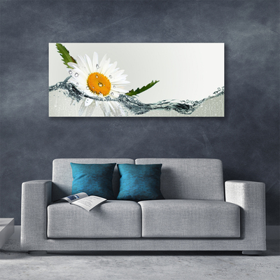 Fototryck canvas Daisy i vatten växt