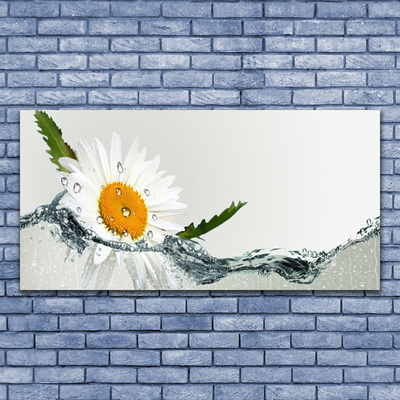 Fototryck canvas Daisy i vatten växt