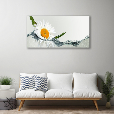 Fototryck canvas Daisy i vatten växt