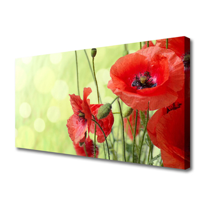 Bild canvas Vallmo Blommor Natur Växt