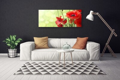 Bild canvas Vallmo Blommor Natur Växt