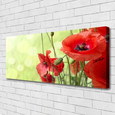 Bild canvas Vallmo Blommor Natur Växt