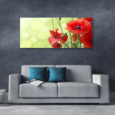 Bild canvas Vallmo Blommor Natur Växt