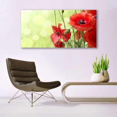 Bild canvas Vallmo Blommor Natur Växt