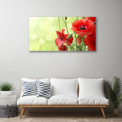 Bild canvas Vallmo Blommor Natur Växt