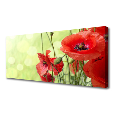 Bild canvas Vallmo Blommor Natur Växt