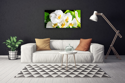 Bild på canvas Orkidé Blommor Natur