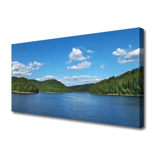 Canvas bild Lake Forest Landskap