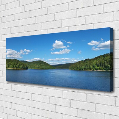 Canvas bild Lake Forest Landskap