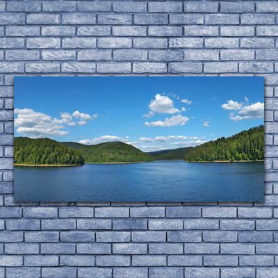 Canvas bild Lake Forest Landskap