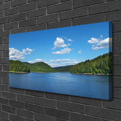 Canvas bild Lake Forest Landskap