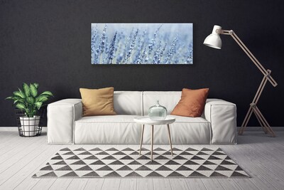 Canvastavla foto Blommor Kłosy Äng Natur