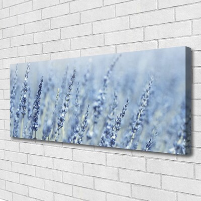 Canvastavla foto Blommor Kłosy Äng Natur