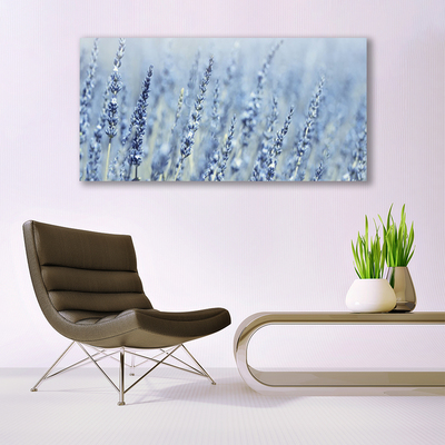 Canvastavla foto Blommor Kłosy Äng Natur