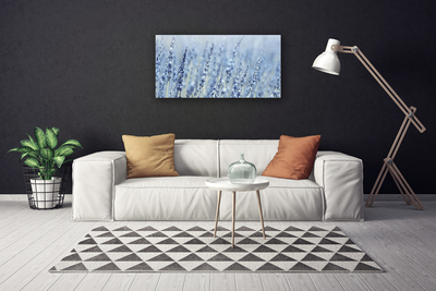 Canvastavla foto Blommor Kłosy Äng Natur