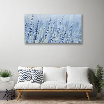 Canvastavla foto Blommor Kłosy Äng Natur
