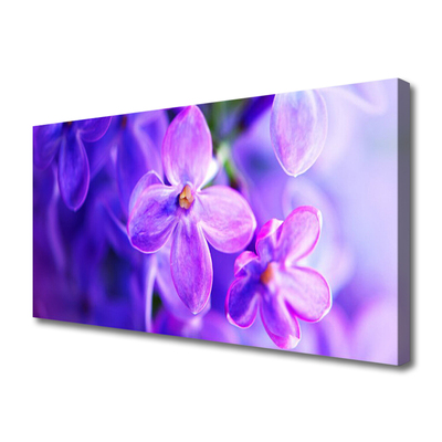 Bild canvas Lila naturblommor