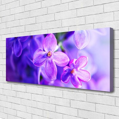 Bild canvas Lila naturblommor