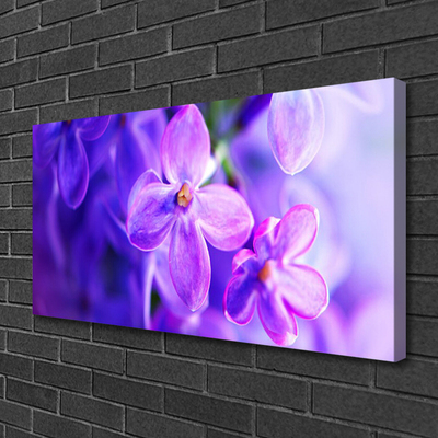 Bild canvas Lila naturblommor