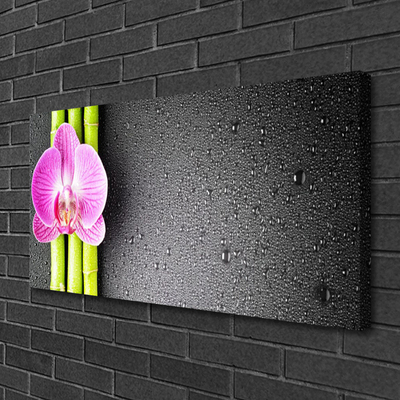 Fototryck canvas Bambu blommor orkidé