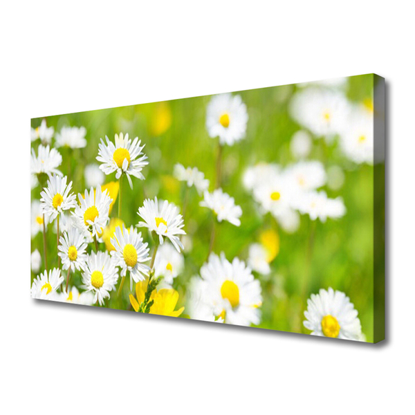 Canvas bild Daisy blomma växt