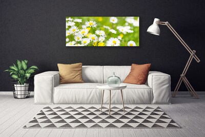 Canvas bild Daisy blomma växt