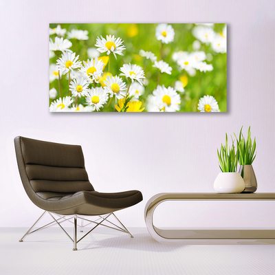 Canvas bild Daisy blomma växt