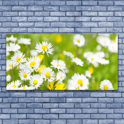 Canvas bild Daisy blomma växt