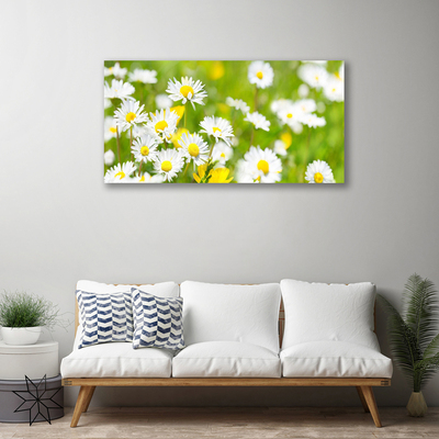 Canvas bild Daisy blomma växt