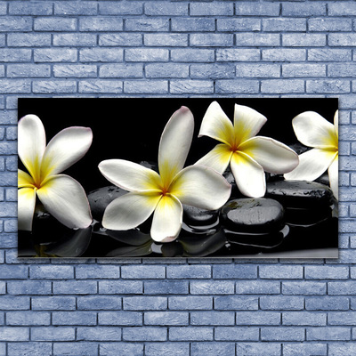 Canvastavla Vacker Plumeria blomma