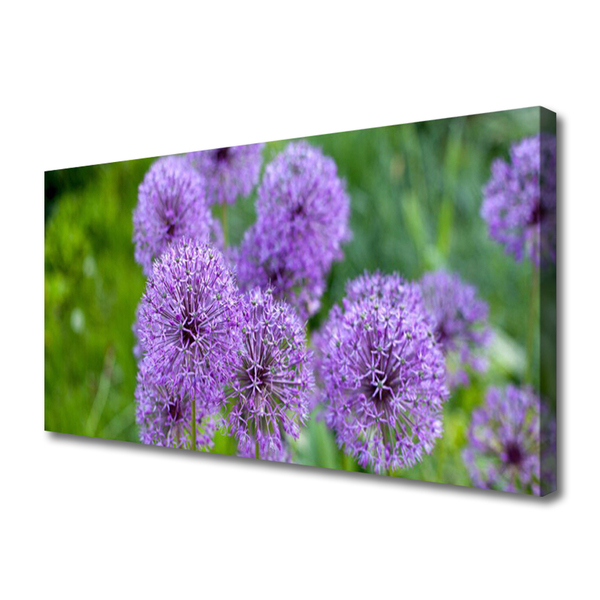 Fototryck canvas Lila blommor äng